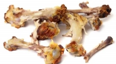 Miért nem tudnak kutyák csirke csontokat adni